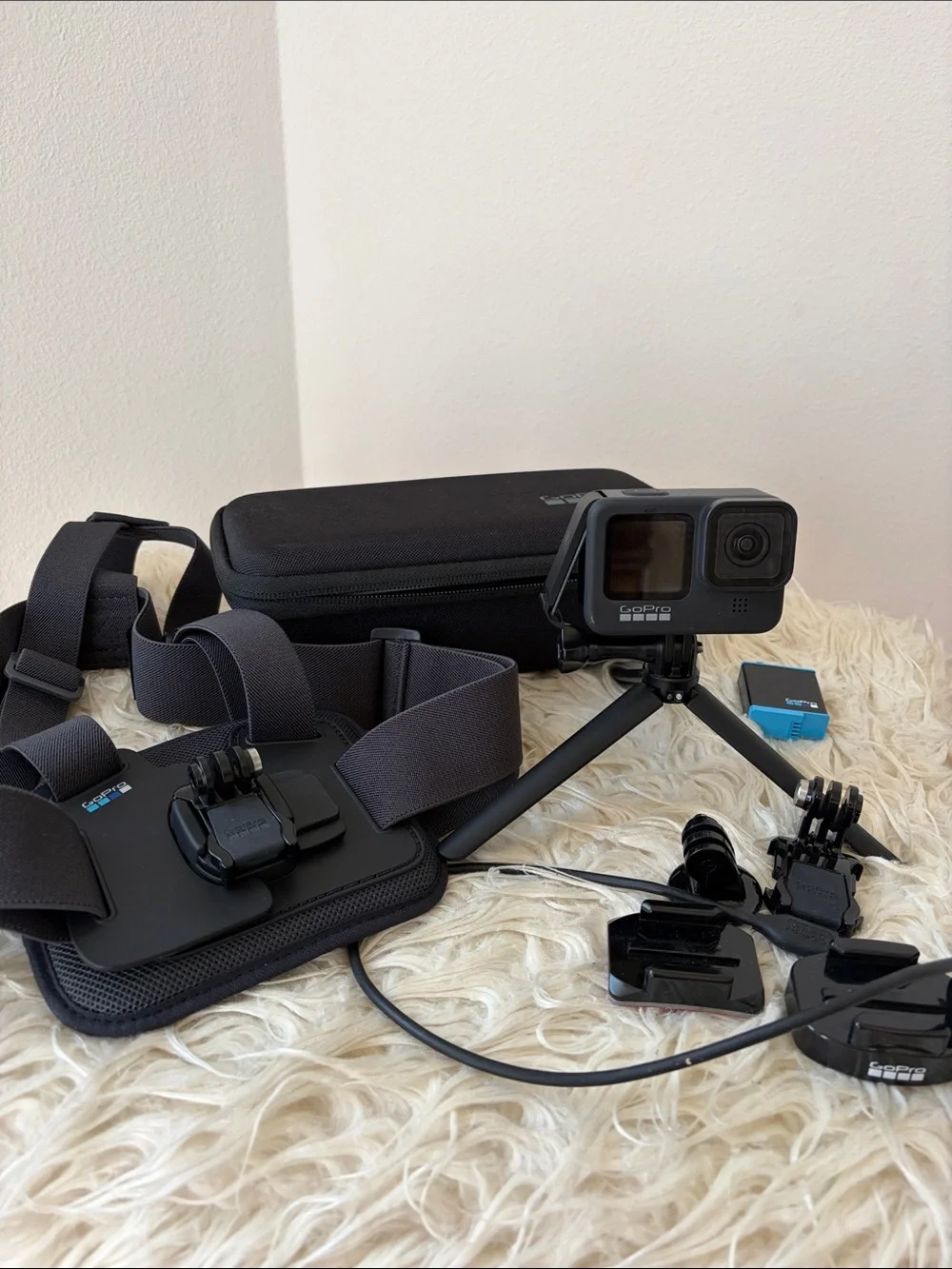 GoPro HERO 9 Action Camera Kit in Black